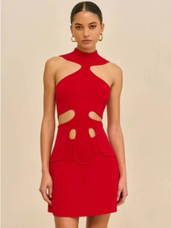 cult gaia Red Cutout Mini Dress - Picture 1 of 7